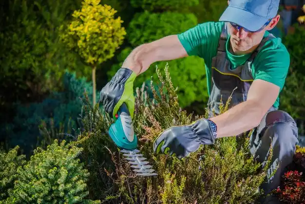 landscaping services Bordelonville